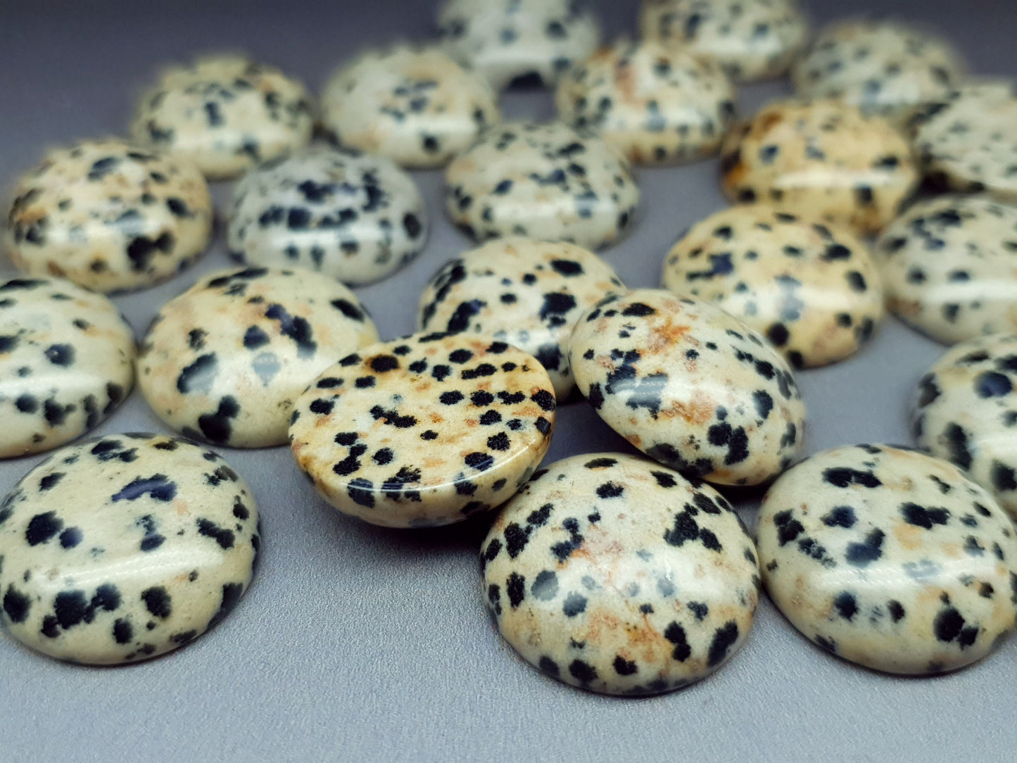 Dalmation jasper cabochon - round - 18 mm