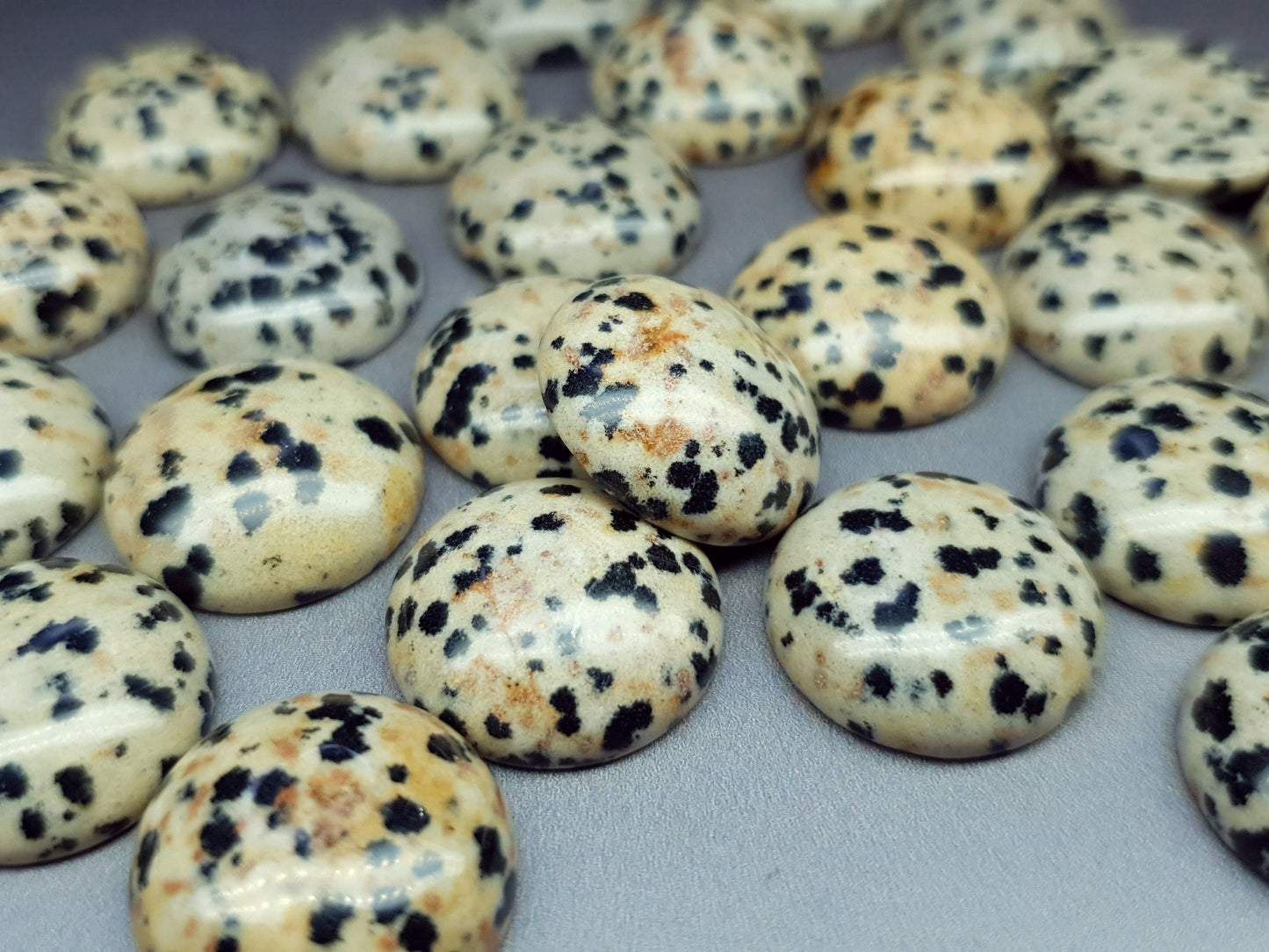 Dalmation jasper cabochon - round - 18 mm