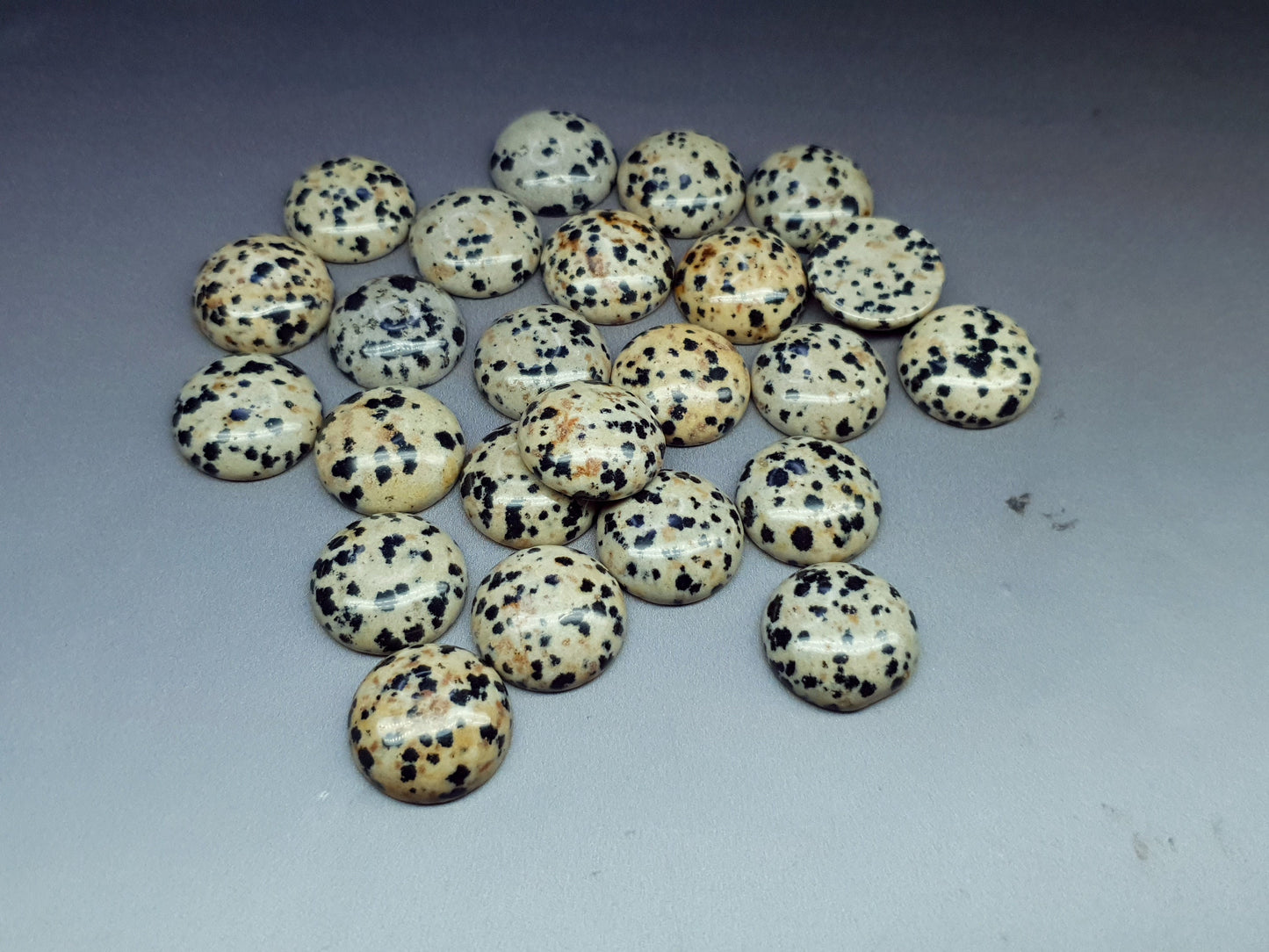 Dalmation jasper cabochon - round - 18 mm