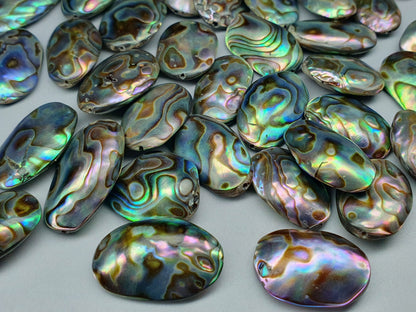 Drilled Abalone - oval - 20 - 26 mm