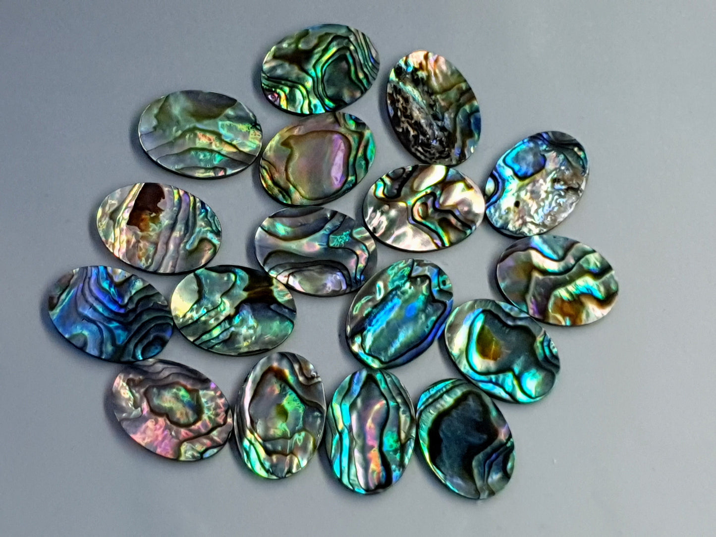 Paua shell 18 mm oval flat cabochon