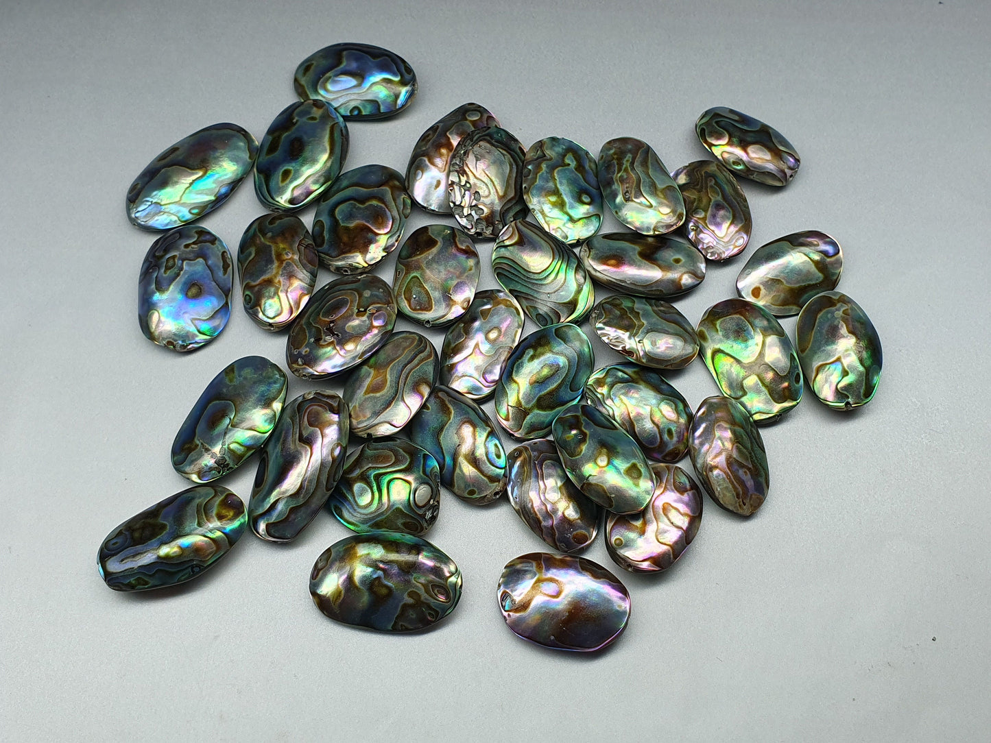 Drilled Abalone - oval - 20 - 26 mm