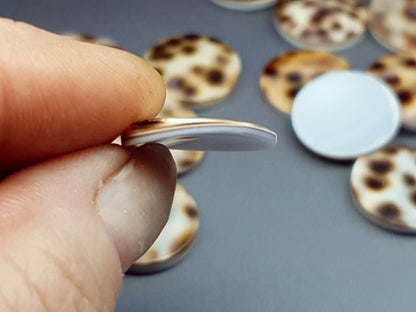 Tiger shell cabochon - round - 18 mm