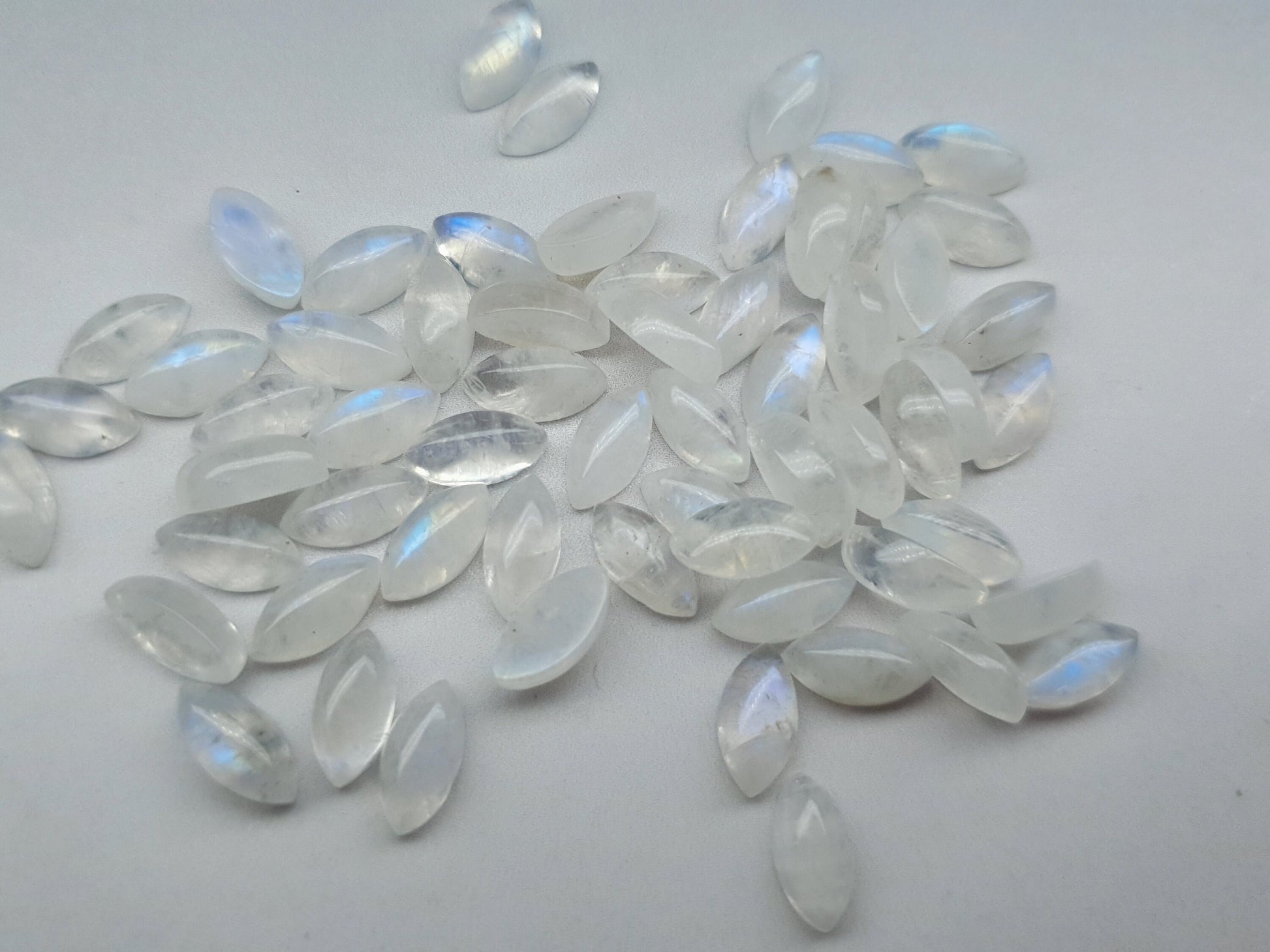 Rainbow moonstone - marquise - 10 mm