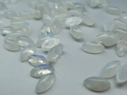 Rainbow moonstone - marquise - 10 mm