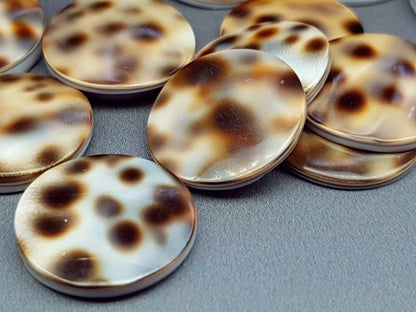 Tiger shell cabochon - round - 18 mm