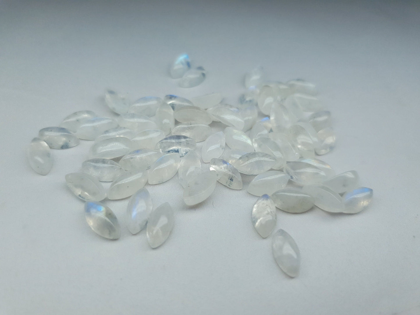 Rainbow moonstone - marquise - 10 mm