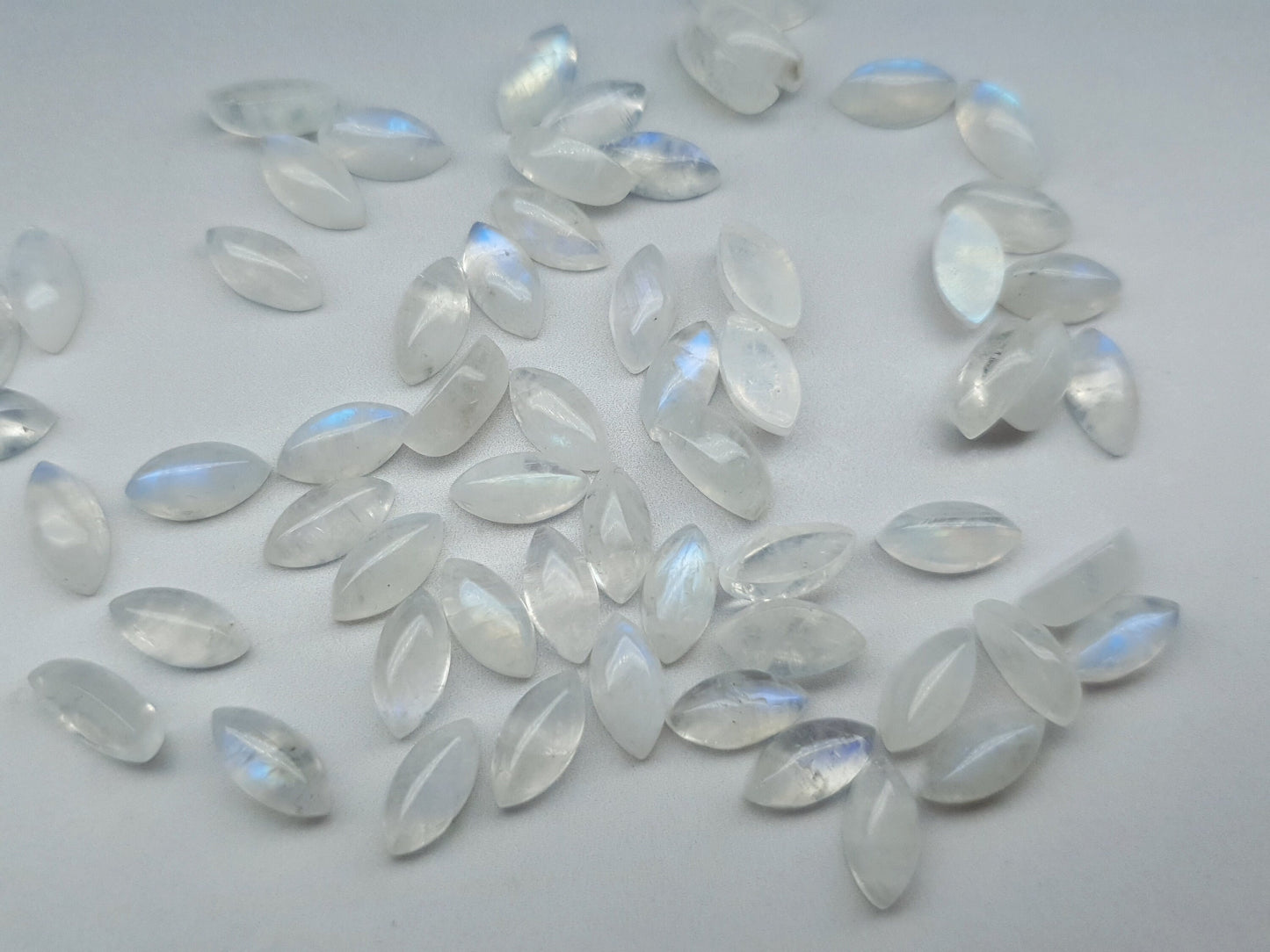 Rainbow moonstone - marquise - 10 mm