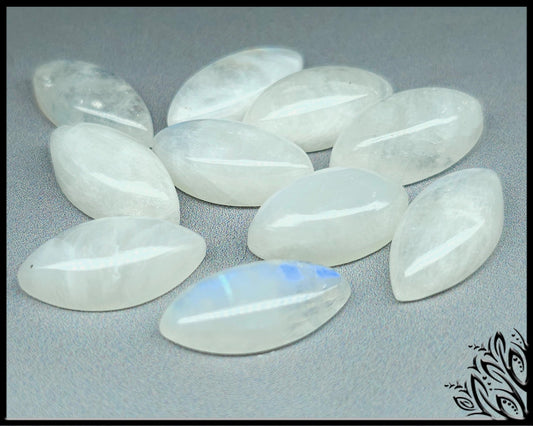 Rainbow moonstone - marquise - 18 mm