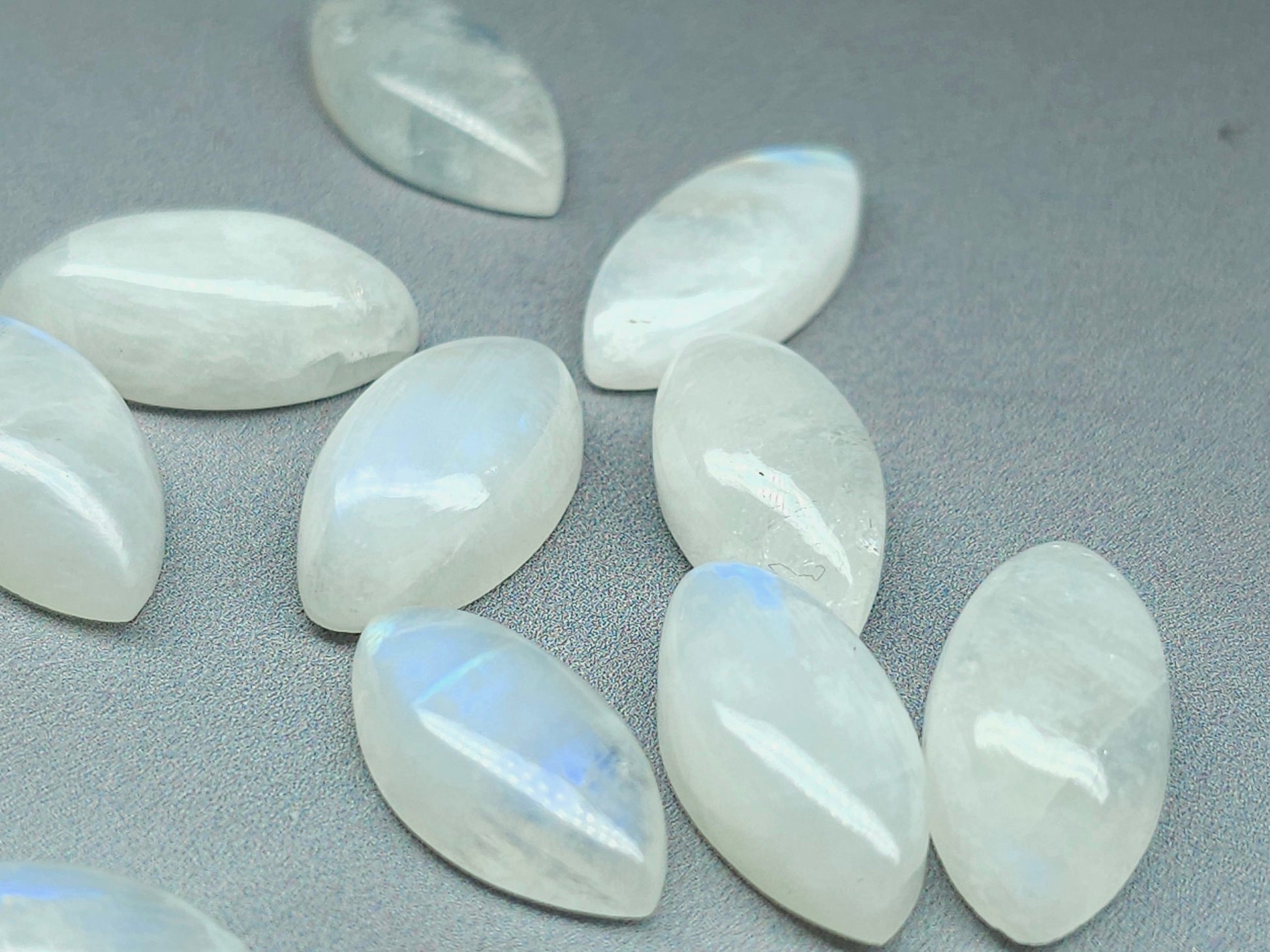 Rainbow moonstone - marquise - 18 mm