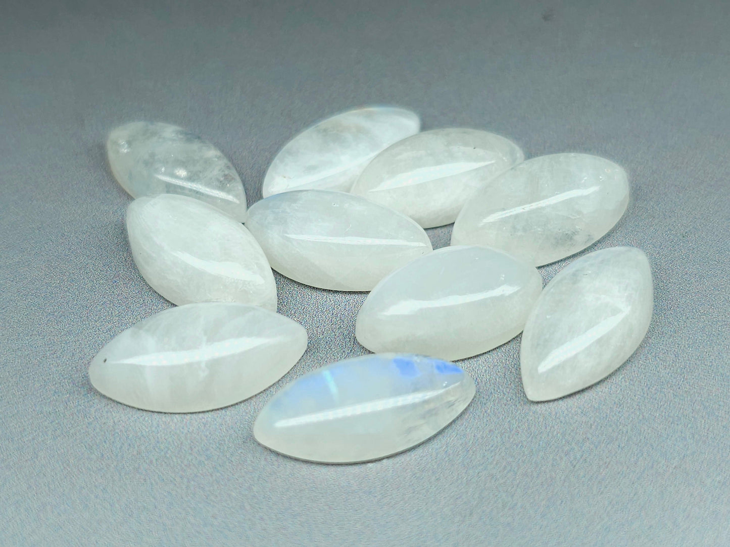 Rainbow moonstone - marquise - 18 mm