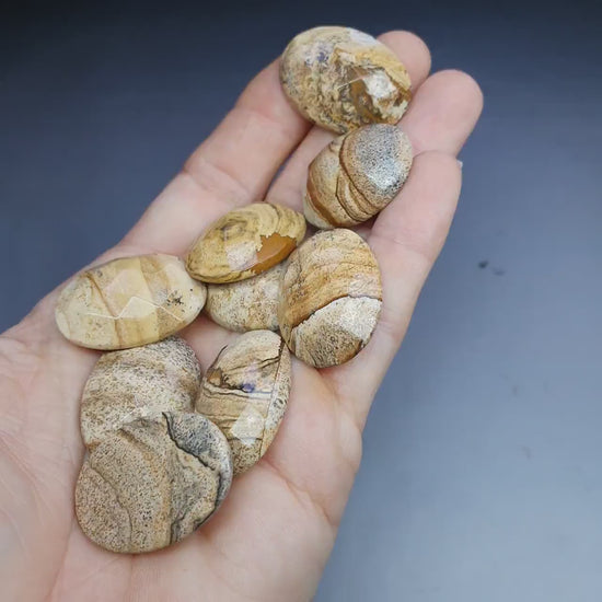 Faceted picture jasper cabochon - 30 mm oval