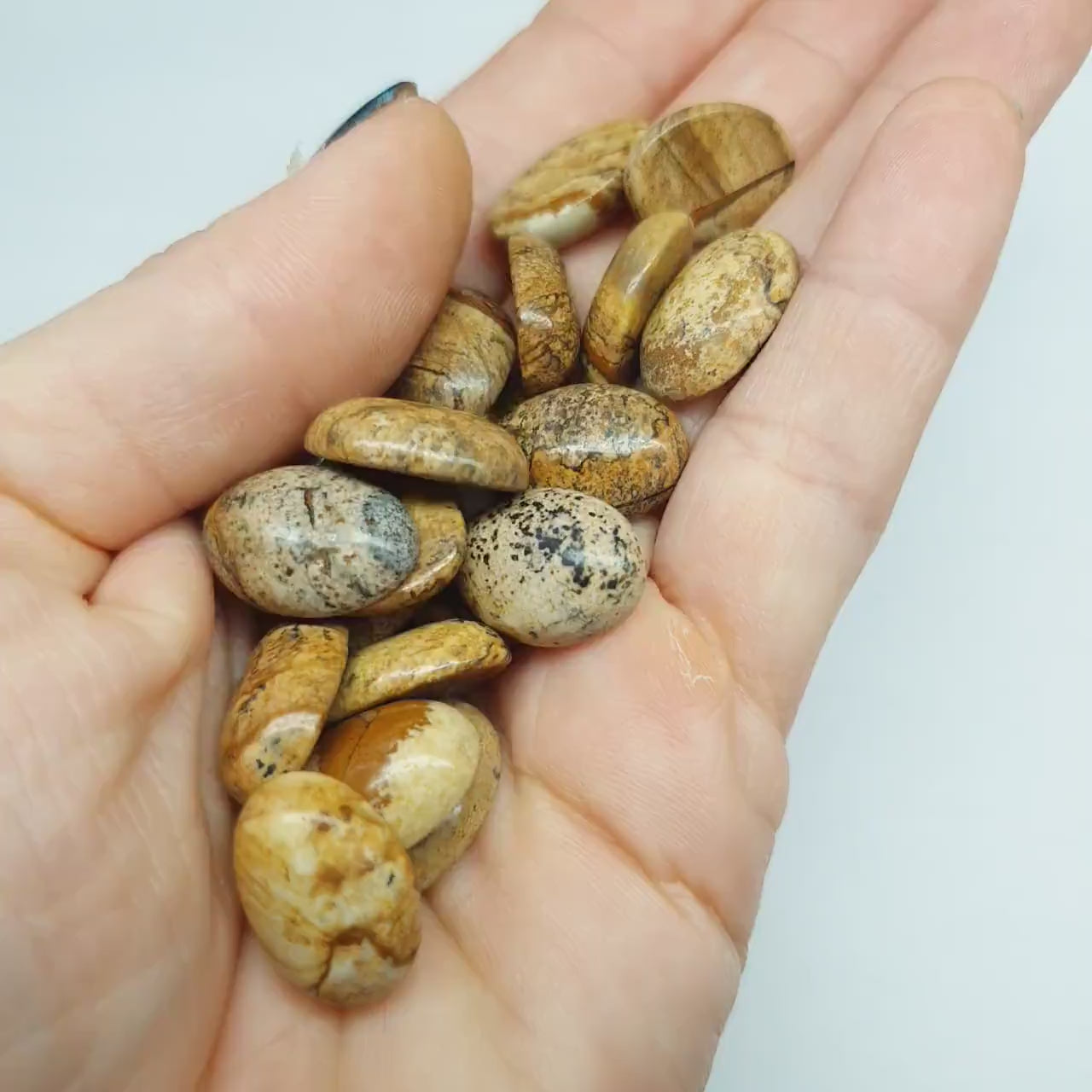 Picture jasper cabochon - oval - 18 mm