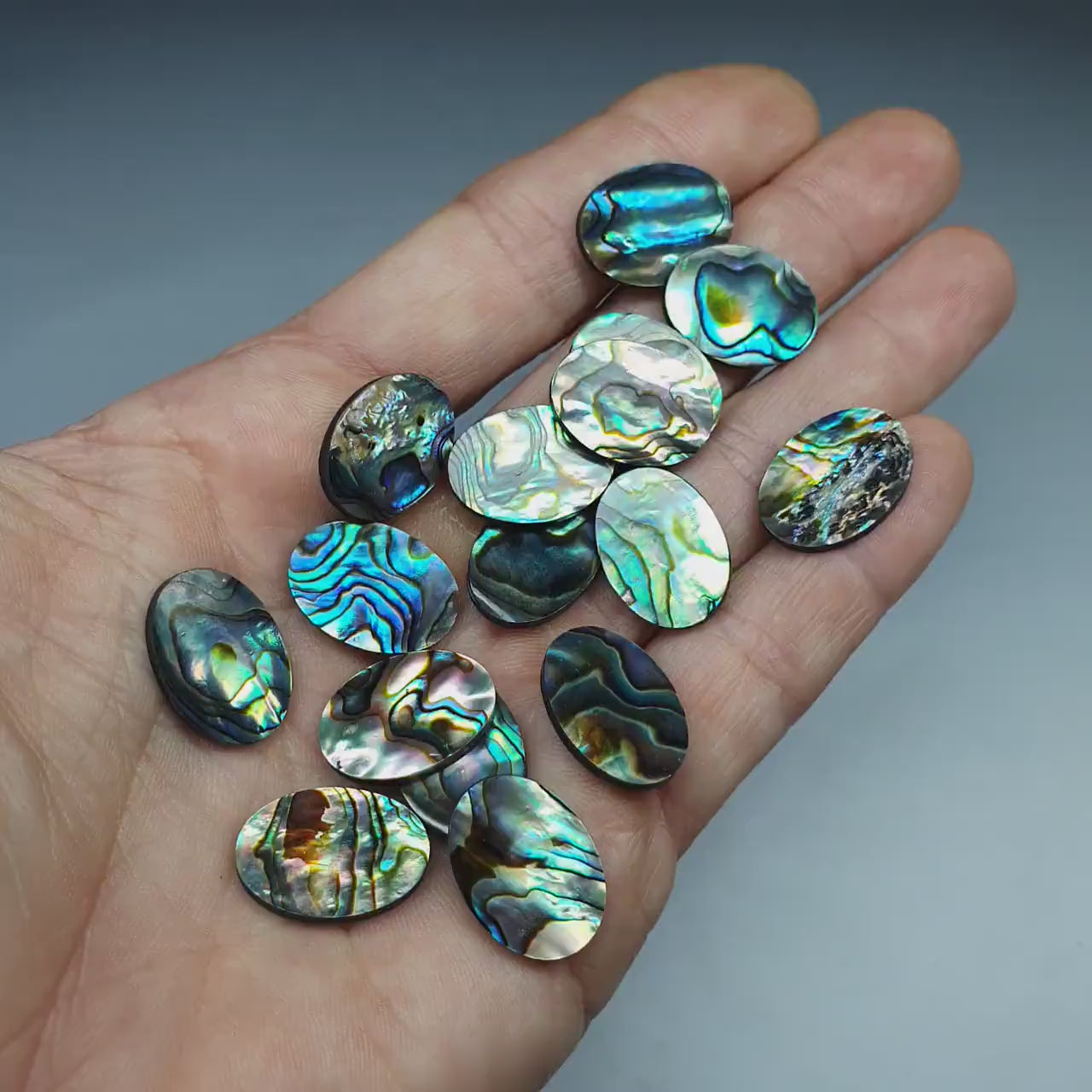 Paua shell cabochon - oval - 18 mm