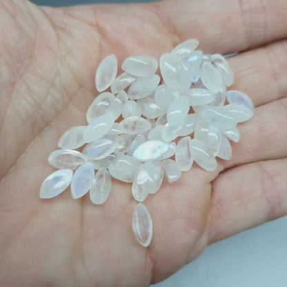 Rainbow moonstone - marquise - 10  mm